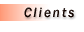 Our Clients